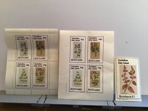 Holy Island Scotland Plants flower Creeping Vervain MNH  stamps  R24495 