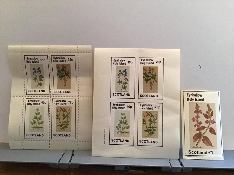 Holy Island Scotland Plants flower Creeping Vervain MNH  stamps  R24495 