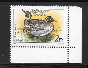 Hungary  #3136 MNH Crecca Ducks Single