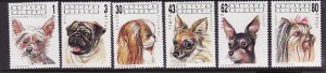 Bulgaria-Sc#3635-40-unused NH set-Dogs-Animals-1991-