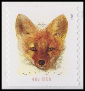 US 5743 Red Fox 40c coil single (1 stamp) MNH 2023