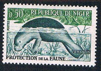 Niger 107 MLH Dugong (BP10018)