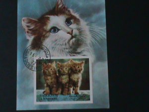 ​SHARJAH-1972 BEAUTIFUL LOVELY BABIES CATS-CTO IMPERF S/S VF FANCY CANCEL