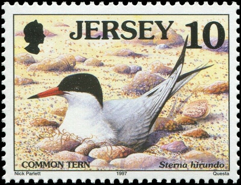 Great Britain Jersey 1997 Sc 778-785 Birds Merganser Tern Gull Puffin CV $10.85