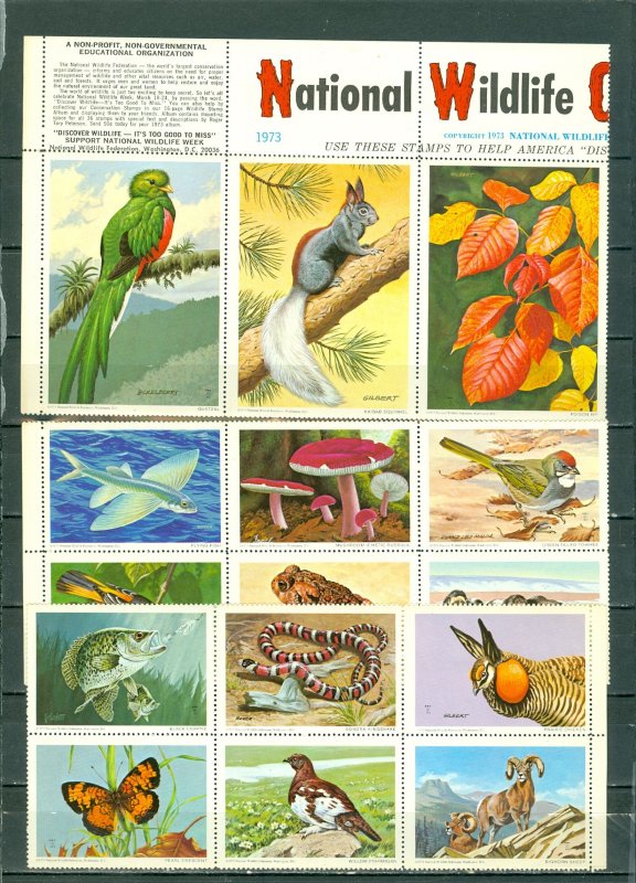 WORLDWIDE CINDERELLAS NICE LOT of (50+)