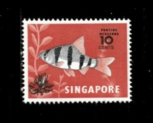 Singapore 1981 - Fish, Tiger Barb, REVAL - Individual - Scott 370 - MNH