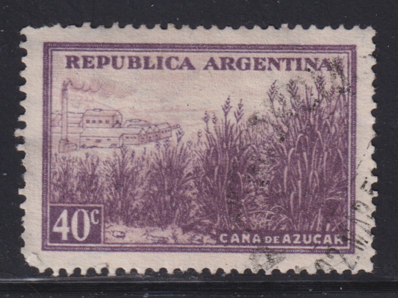 Argentina 443 Sugar Cane Plantation 1936