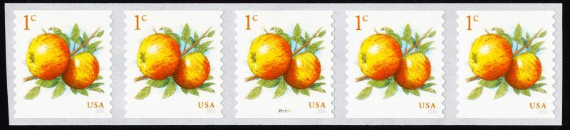 US 5037 MNH VF/XF 1 Cent Fruit Ablemarle Pippin Apples PNC 5 #P111111