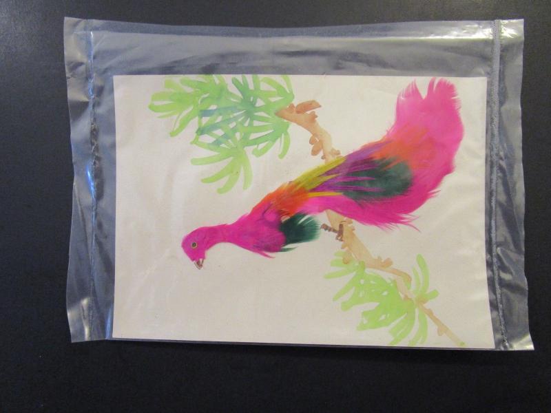 Taiwan 1960 Hand Painted / Feathered Postal Card / Used / Sealed - Z4260