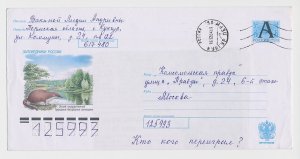 Postal stationery Rossija 1999 Russian Desman - Mole