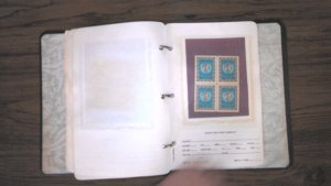 IRAN COLLECTION IN APPROVAL ALBUM, MINT/USED