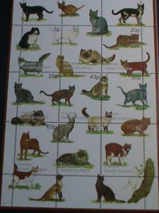 EASDALE-SCOTLAND STAMP -COLORFUL WORLD LOVELY CATS LARGE MNH FULL SHEET  VF