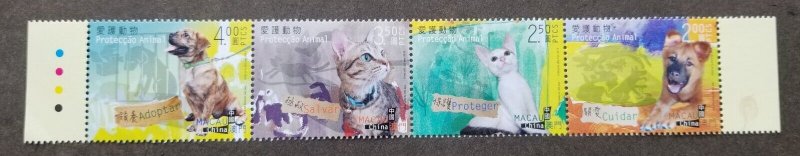 *FREE SHIP Macau Macao Animal Protection 2014 Cat Dog Child Pet (stamp color MNH
