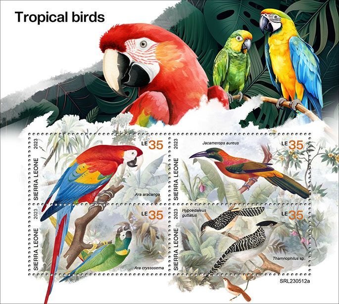 SIERRA LEONE - 2023 - Tropical Birds - Perf 4v Sheet - Mint Never Hinged