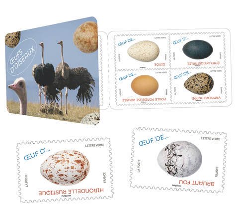 2020 France Birds Eggs Bklt of 12 SA  (Scott NA) MNH