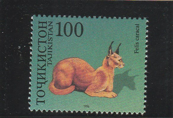 Tajikistan  Scott#  91a  MNH  (1996 Caracal)