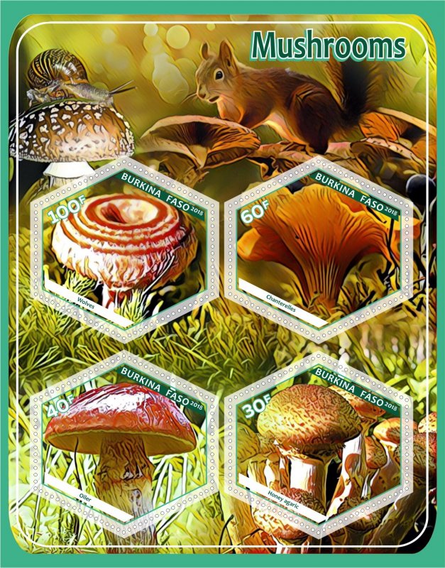 Stamps.  Mushrooms, animals  2018 1+1 sheets perforated