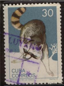Cuba  900 U