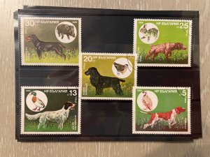 Dogs : 5 different issues  (5 photos) with Very Fine stamps