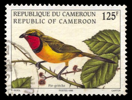 Cameroon 926, used, Shrike