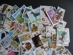 Topical hoard breakup 200 Dogs. Mixed condition, few duplicates