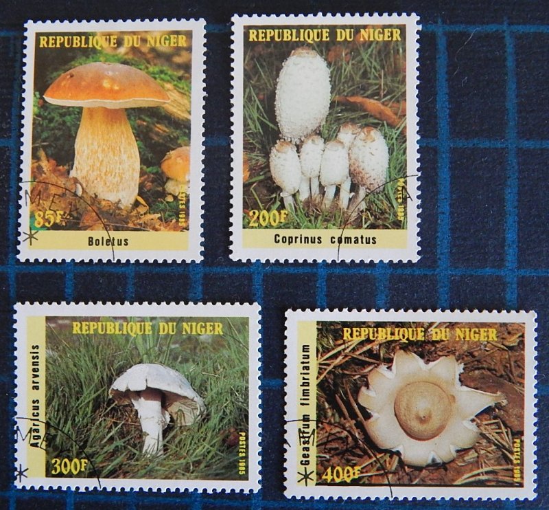 Mushrooms, (2403-Т)