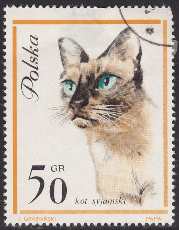 Poland 1218 Siamese Cat 1964