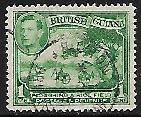 British Guiana # 230 - Ploughing Rice Field - used.....{BRN31}