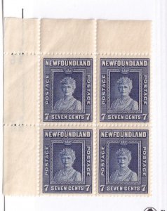 NEWFOUNDLAND PLATE BLOCKS OF 4 PLUS BLOCKS OF 4 CAT VALUE ????? 