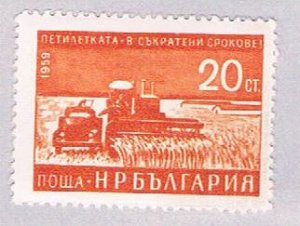 Bulgaria Wheat 20 (AP104527)