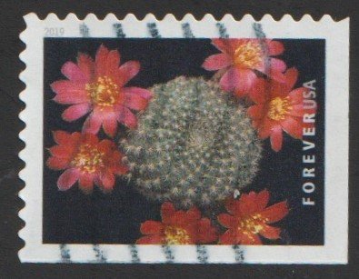 SC# 5351 - (55c) - Cactus Flowers: 2 of 10 - Used Single Off Paper