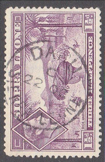 SIERRA LEONE 1951 GVI 1½d - DARU cds........................................7116