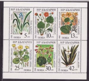 Bulgaria-Sc#3305a-unused NH sheet-Marine Flowers-1988-