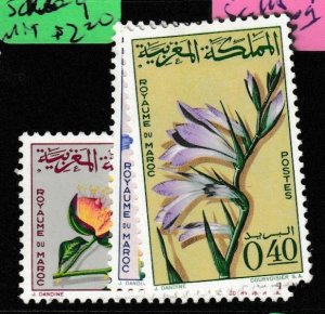 Morocco Flower SC 115-7 MOG (8gbs) 