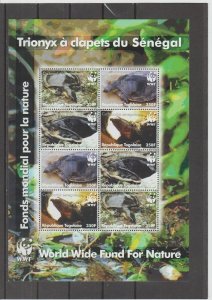 Togo  Scott#  2039  MNH  S/S  (2006 Turtles)