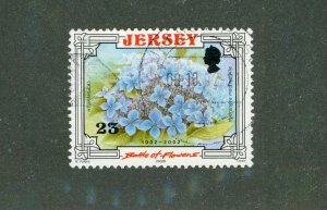 Jersey_2 1042 USED BIN $0.50