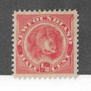 Newfoundland Sc #57 1/2p vermilion dog OG scarce centered VF