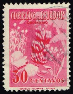 Ecuador #591 Bananas; Used (0.25)