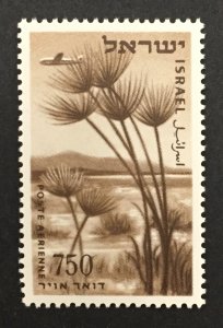 Israel 1951 #c15, Coastline, MNH.