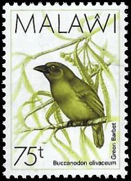 MALAWI   #529 MNH (1)