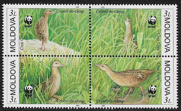 Moldova #370 MNH Block - WWF - Crex Crex - Bird