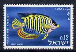 Israel 1962 Red Sea Fish 12a Angelfish with superb set-of...