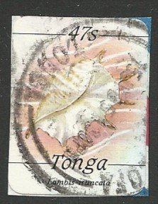Tonga  575
