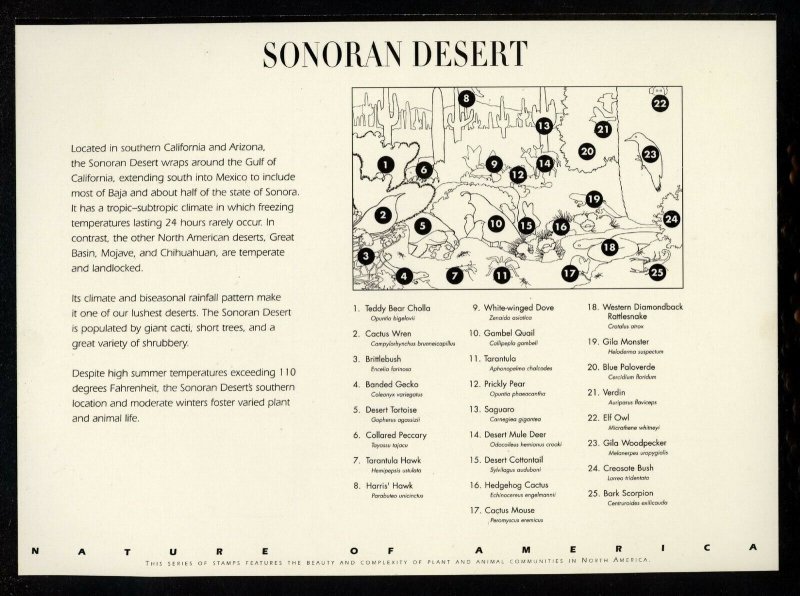 SCOTT 3293 1999 33 CENT SONORAN DESERT ISSUE MNH SHEET VF!
