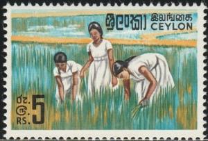 Ceylon, #379A MH From 1964-69