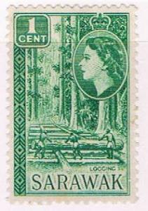 Sarawak 197 MLH Logging 1955 (S1029)