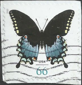 # 4736 USED SPICEBUSH SWALLOWTAIL