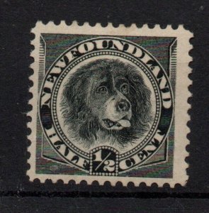 Newfoundland 1894 1/2D Dog Mint LHM SC#58 WS34260