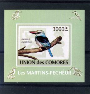 Comoro Islands  2009 BIRDS Kingfisher s/s Imperforated Mint (NH)