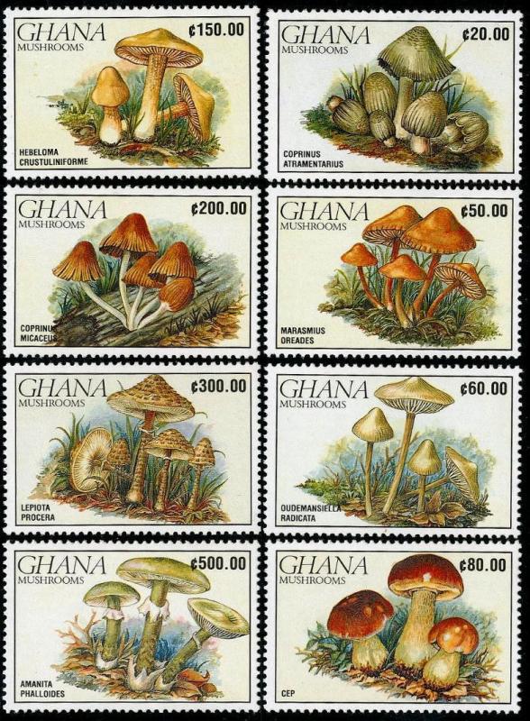 HERRICKSTAMP GHANA Sc.# 1239-46 Mushrooms